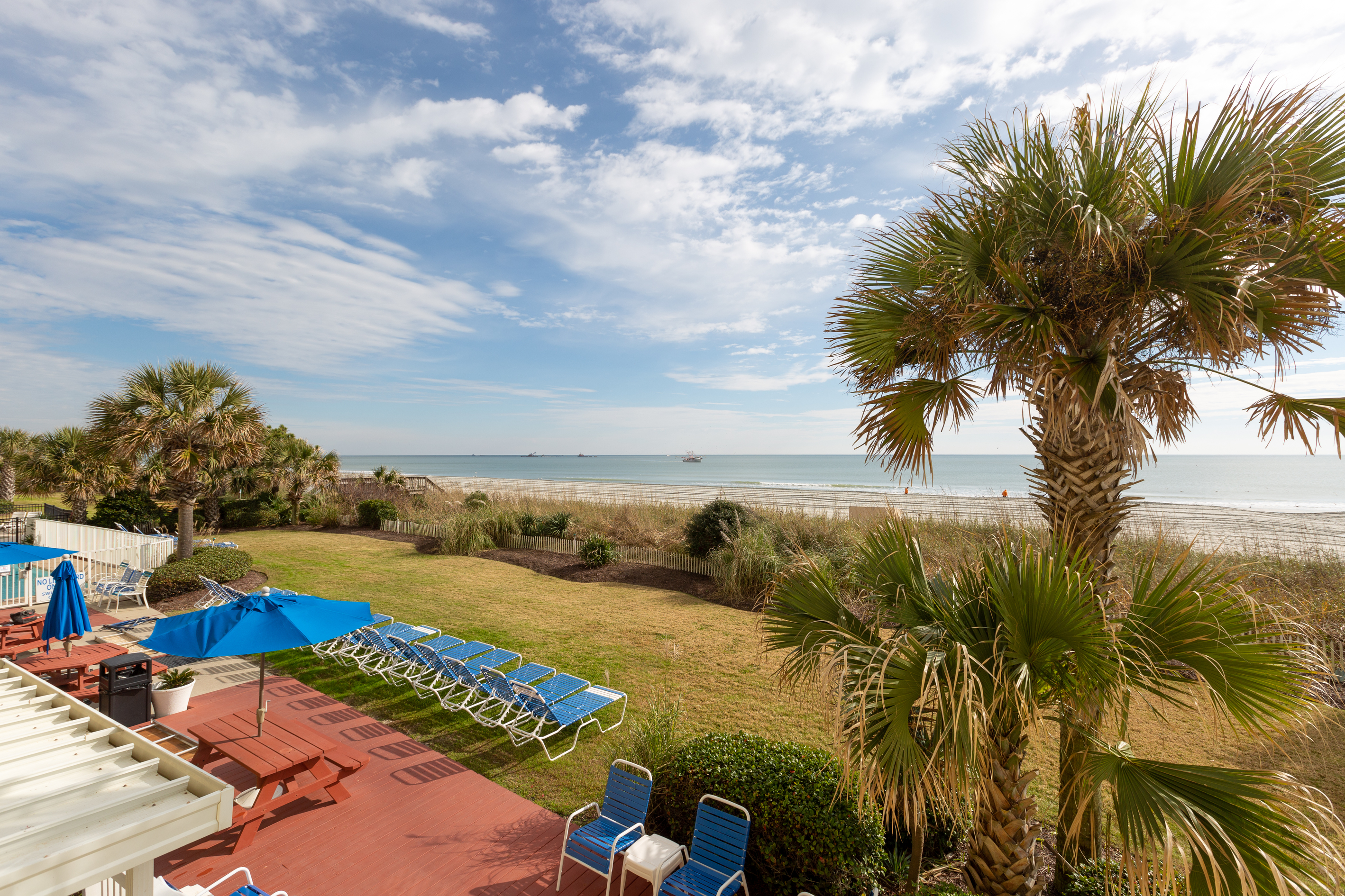 A beachfront view of a hotel's outdoor space with palm trees, lounge chairs, and a lawn leading to the beach.